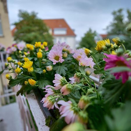Appartement Otto I - Erfurt Zentrum Exterior photo